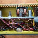 Echorec B2 Echorec B2