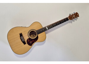 Maton EBG808TE (89682)