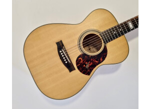 Maton EBG808TE (60577)