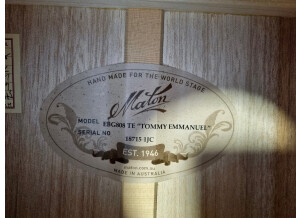 Maton EBG808TE (29838)