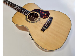 Maton EBG808TE (88050)