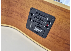 Maton EBG808TE (91355)