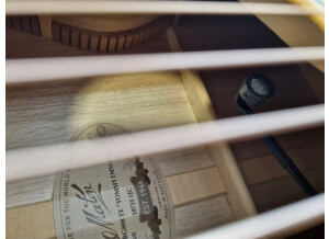 Maton EBG808TE (55128)