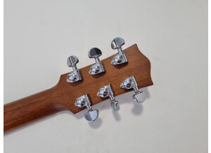 Maton EBG808TE (70302)