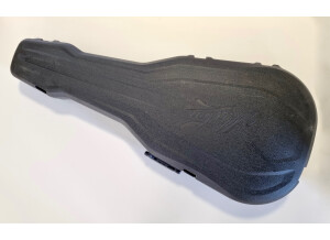 Maton EBG808TE (38430)