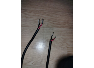 16989218491648155302372703554179