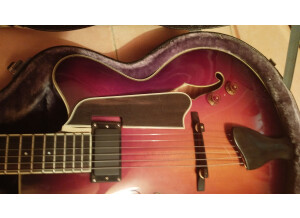 eastman T146