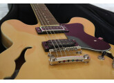 vends guitare électrique semi-hollow Tanglewood TSB59