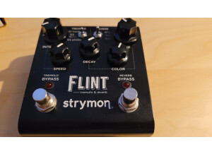 Strymon Flint (49058)