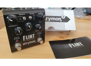 strymon-flint-5844052