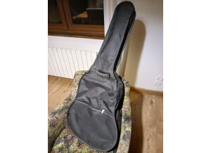 Tanglewood TW130 (65372)