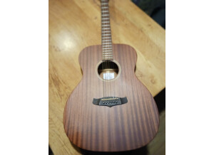 Tanglewood TW130 (34685)
