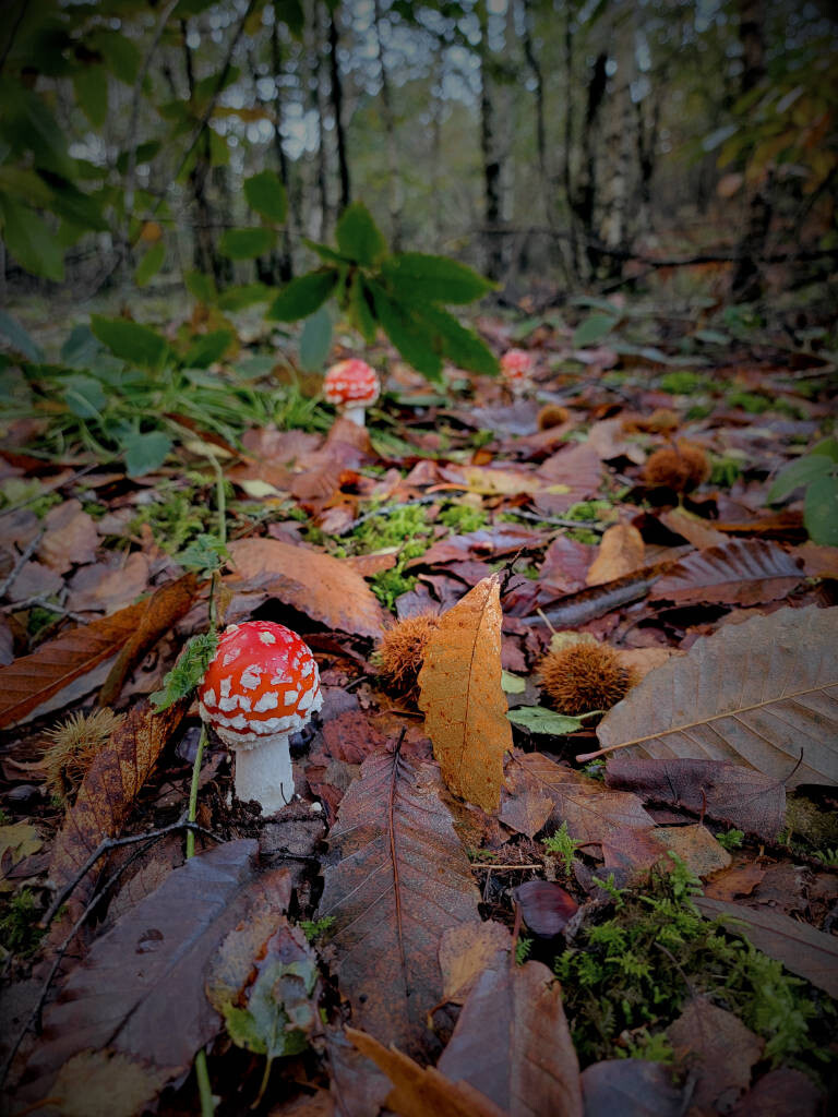 5866087.jpg 5866087.jpg