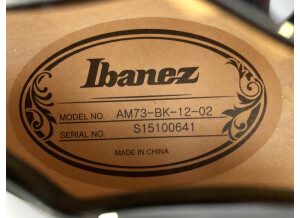 Ibanez AM73