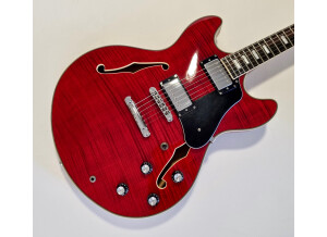 Sire Larry Carlton H7 (7913)