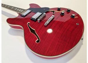 Sire Larry Carlton H7 (68830)