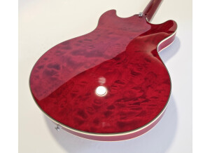 Sire Larry Carlton H7 (96205)