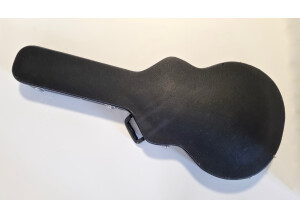 Sire Larry Carlton H7 (81771)