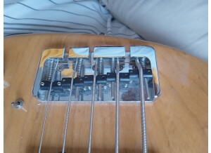 IMG 20231104 110852387 MFNR