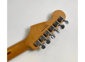 Fender Standard Stratocaster HSS [2009-2018] (69471)