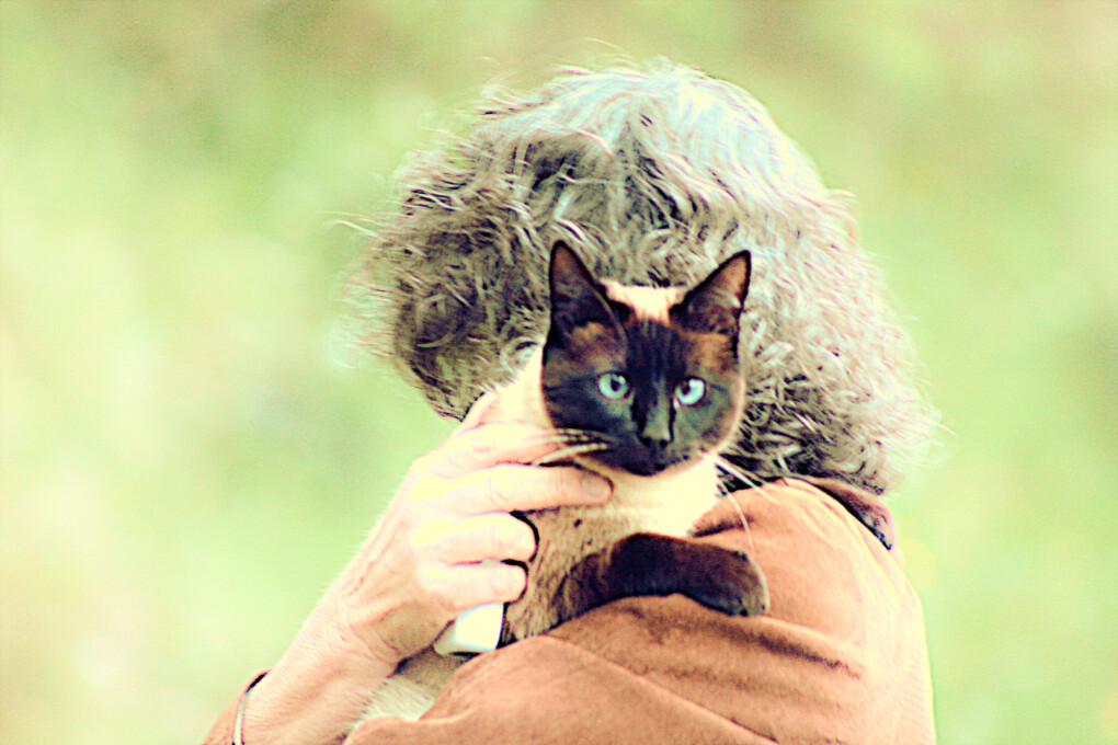 5867635.jpg 5867635.jpg