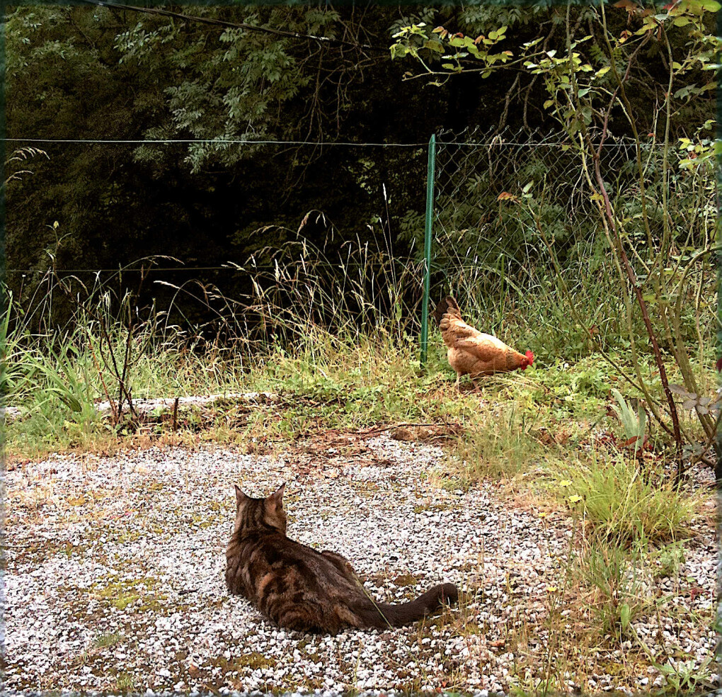 5867735.jpg 5867735.jpg