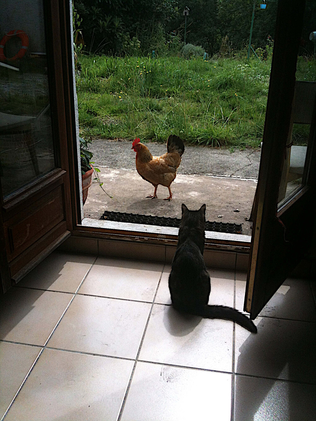 5867736.jpg 5867736.jpg