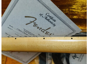 Fender Custom Shop Masterbuilt '57 Stratocaster Pro JR Set (by Dennis Galuszka) (41308)