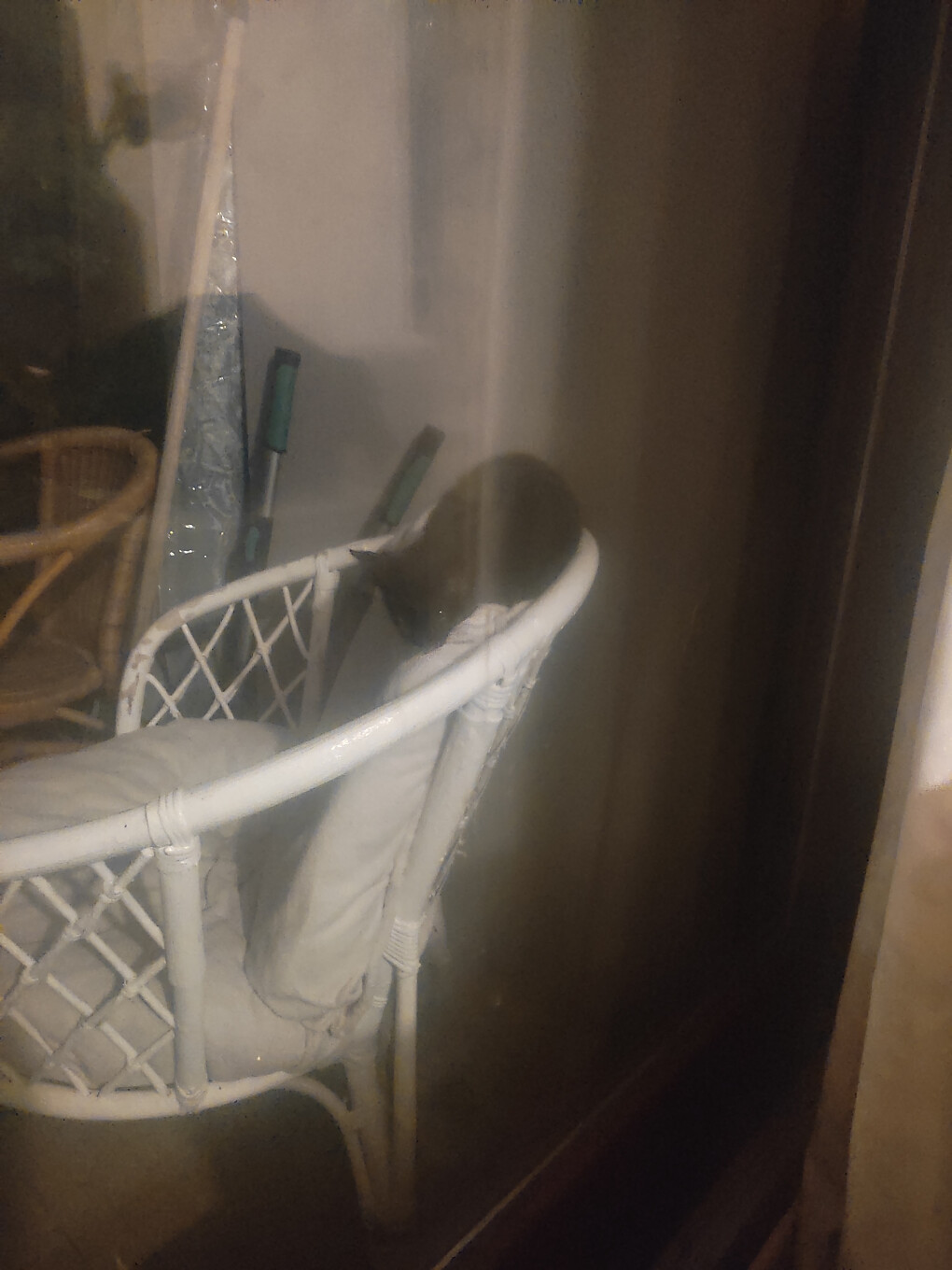 5868281.jpg 5868281.jpg