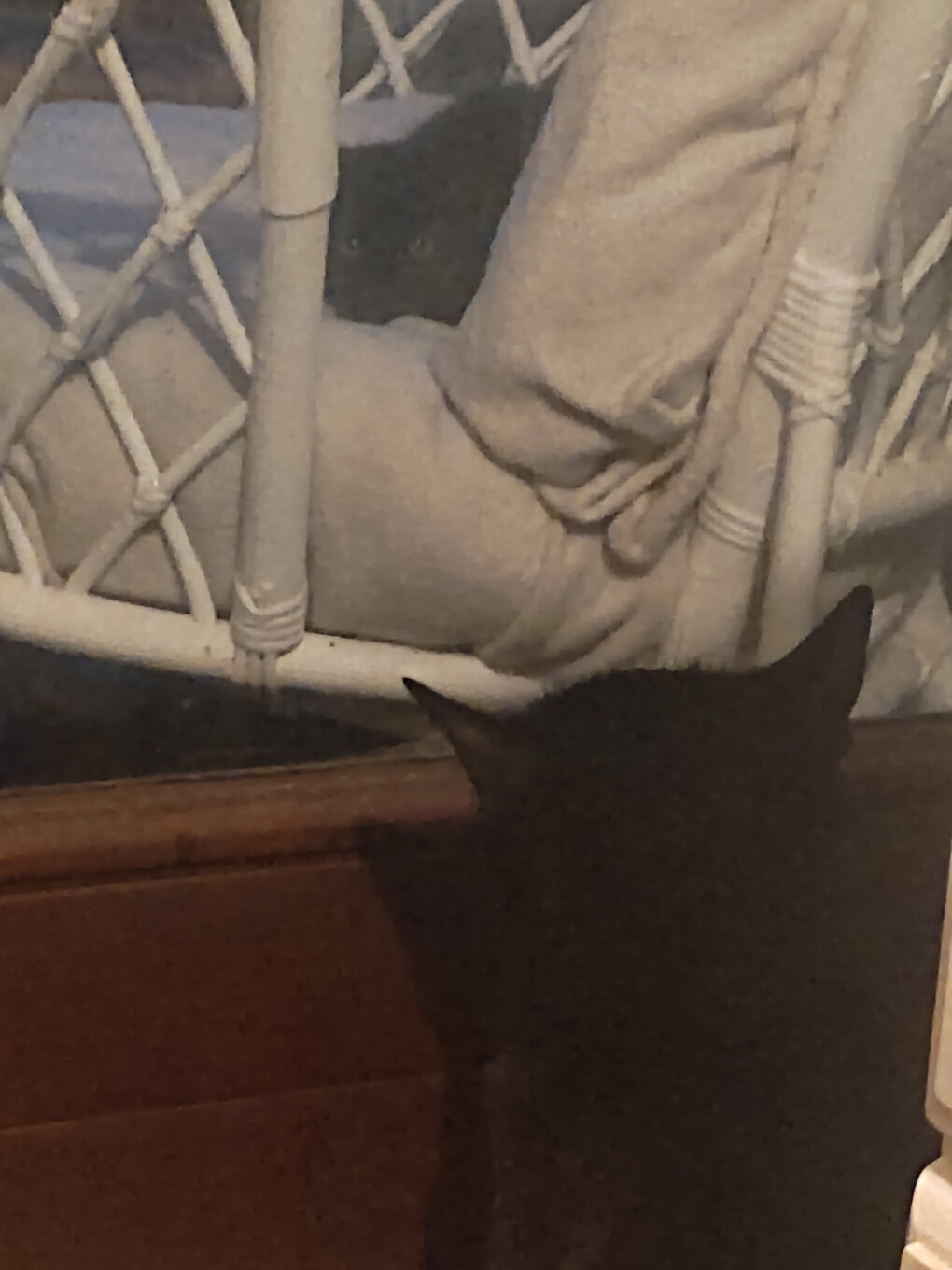 5868283.jpg 5868283.jpg