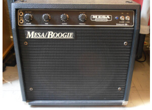 Mesa Boogie Satellite 60 (754)