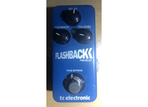 TC Electronic Flashback Mini