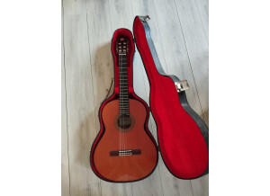 Alhambra Guitars 5 P