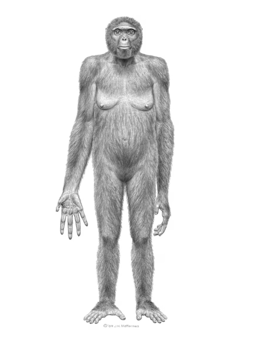 5869764.png 5869764.png