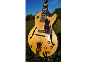 Ibanez GB10 George Benson Signature Prestige (97969)