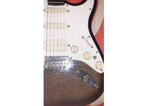 Fender Strat Ultra [1990-1997] (71867)