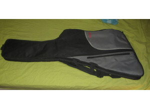 Epiphone Thunderbird Pro-IV (12190)