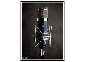 Chandler Limited EMI TG Microphone