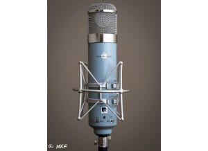 Chandler Limited REDD Microphone