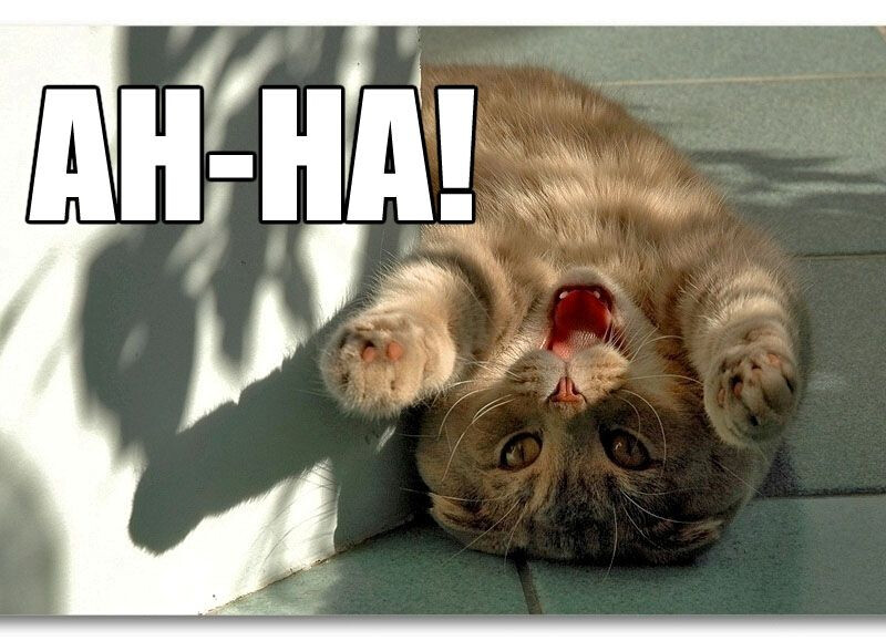 5871796.jpg 5871796.jpg