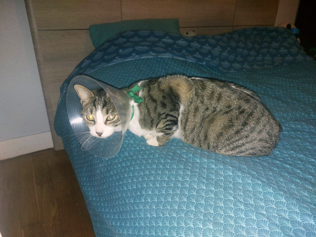 5871862.jpg 5871862.jpg