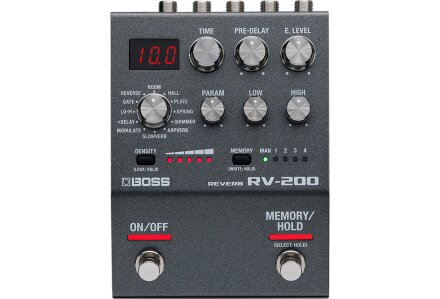 RV200 RV200