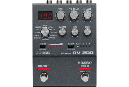 RV200 RV200
