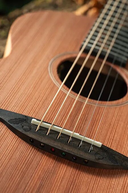 Autumn Variations closeup