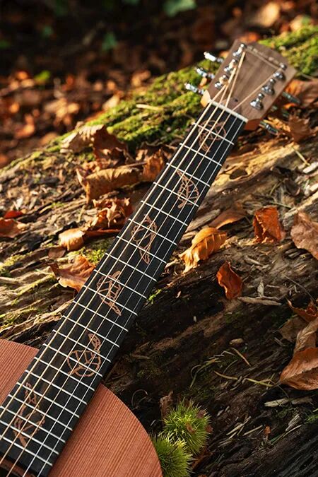 Autumn Variations inlays