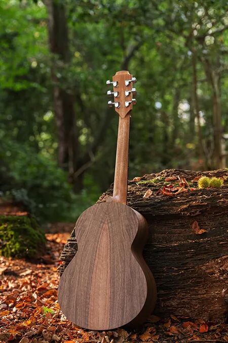 Autumn Variations rear