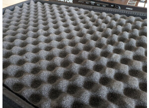 PXL 20231109 104601838