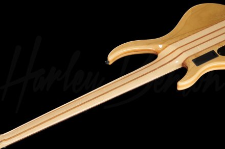 Harley Benton BZ-5000 II : BZ 5000 II back Harley Benton BZ-5000 II : BZ 5000 II back