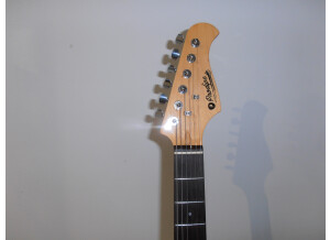 Prodipe Guitars ST83 Ash
