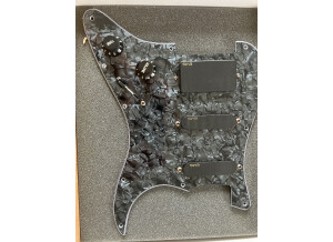 EMG SL20 Steve Lukather (18233)